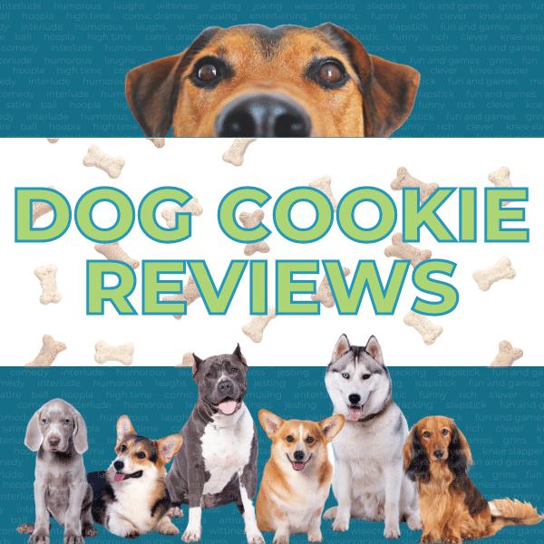 Dog Treat Reviews with JP Allen from Down 2 Laugh